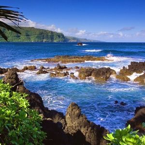 Meet your Posher, Celestial